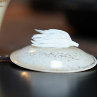 Wood Fired Carved Gaiwan Bowl